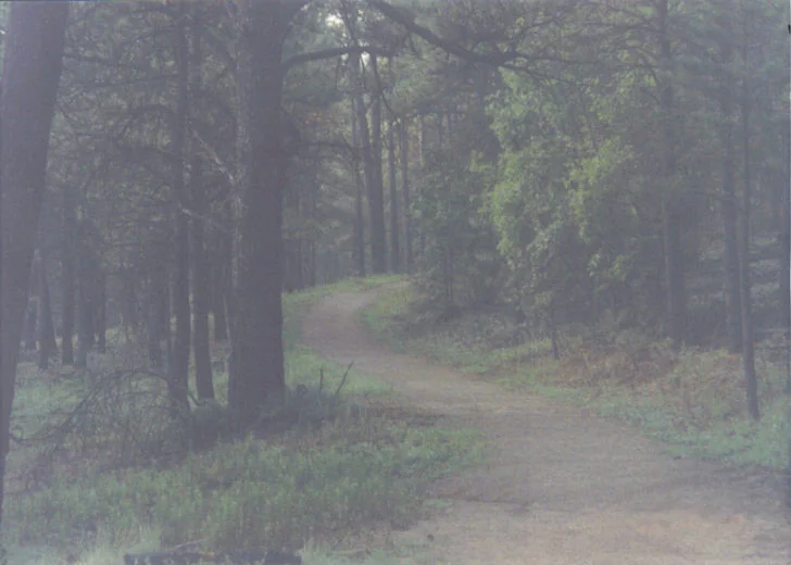 A forested path in Ruidoso, photographed in 2004