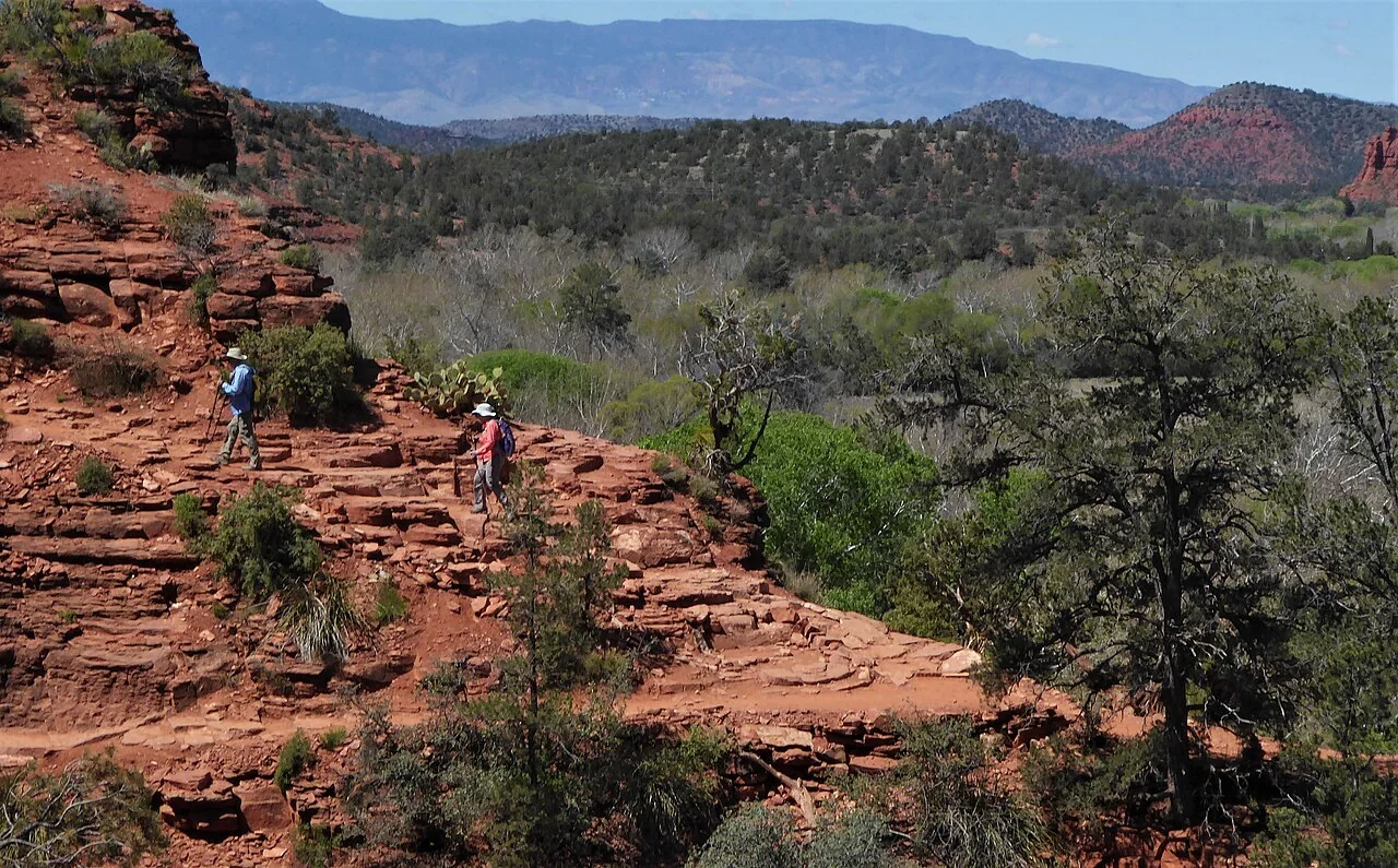 The Oak Creek landscape in Sedona, viewed from a hiking trail