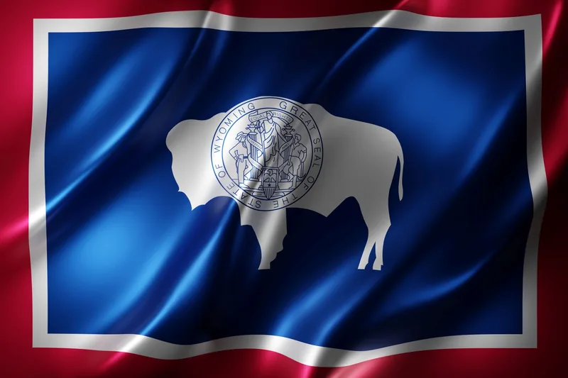 Wyoming state flag with a white bison on a blue field bordered in white and red