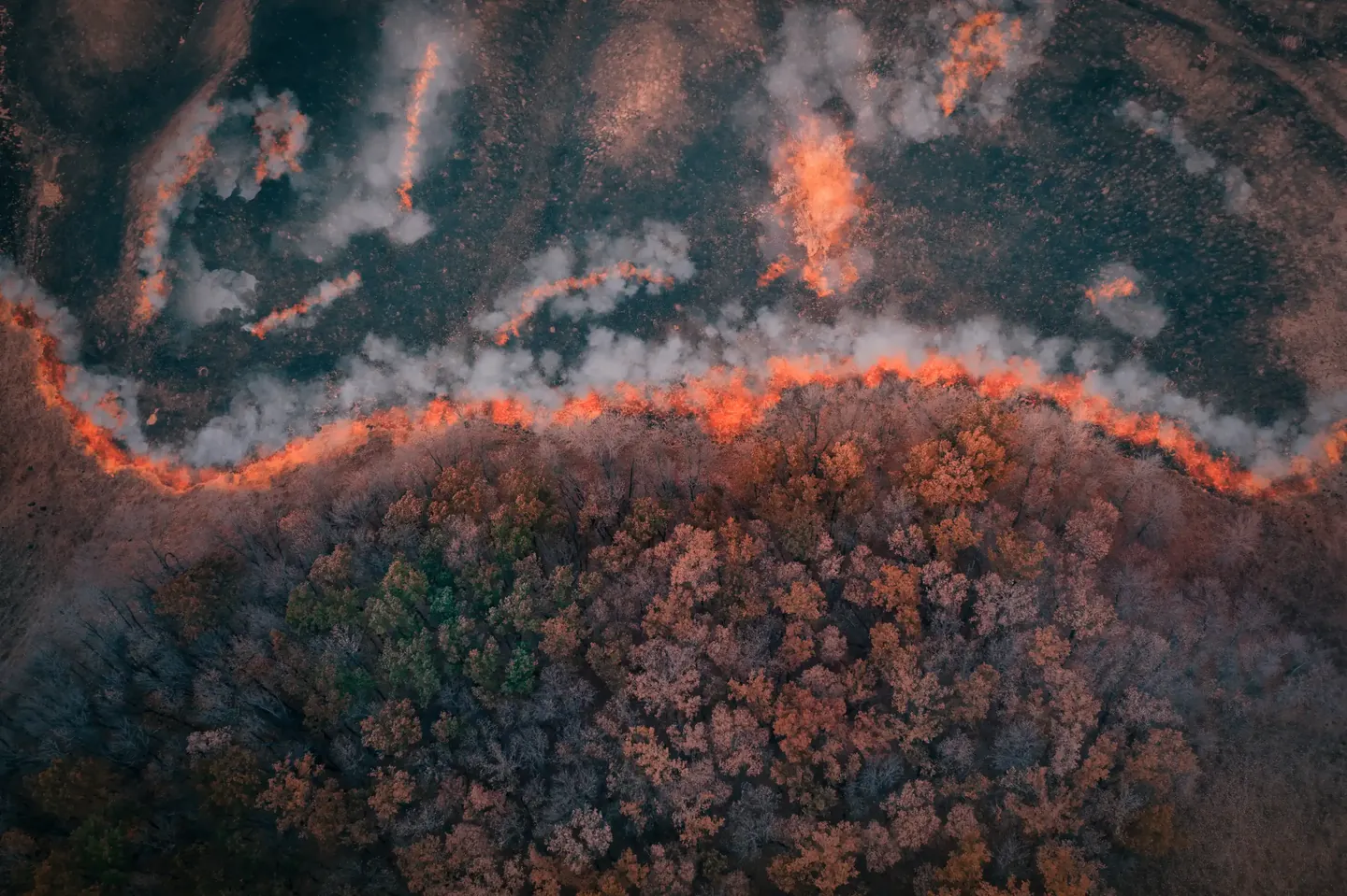 Aerial view of a curving fire line through a wooded landscape
