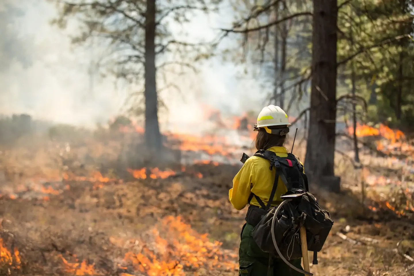 Firefighter monitoring a smoky wooded area