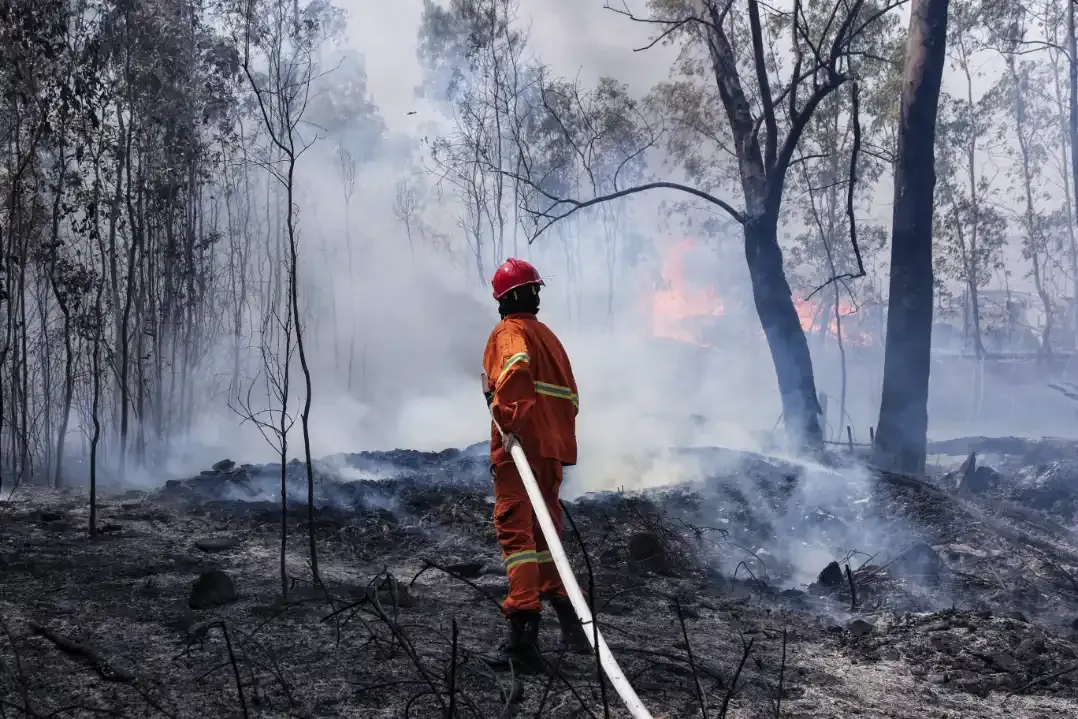 Firefighter standing in woodland with lingering smoke